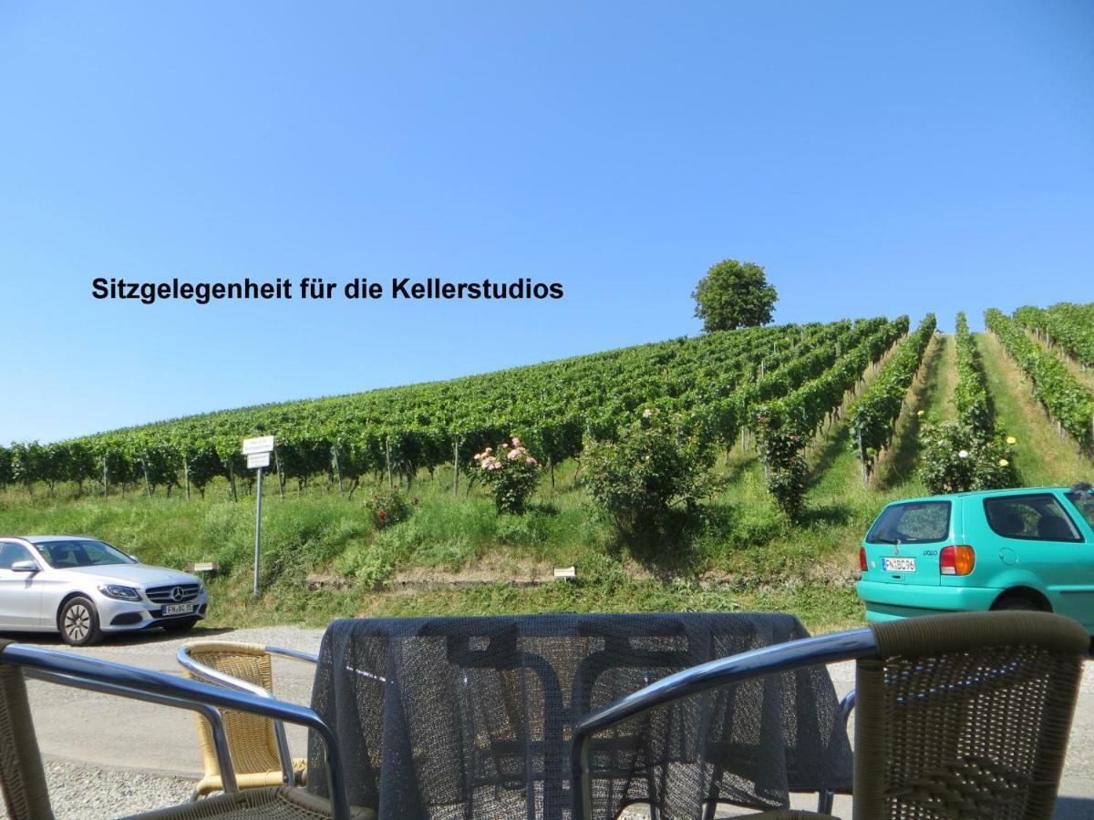 Gaestehaus Sommertal Mit Pool Im Garten, Eigener Parkplatz, 800M Zum Bodensee, 300M Zur Altstadt Мерсбург Екстер'єр фото